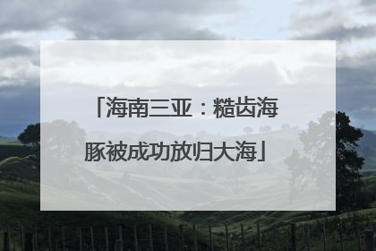 海南三亚：糙齿海豚被成功放归大海