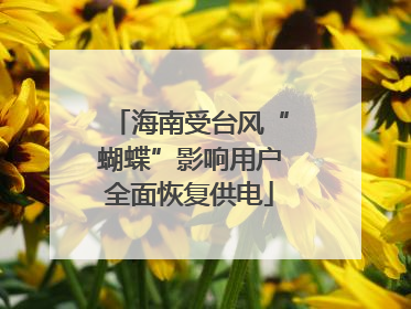海南受台风“蝴蝶”影响用户全面恢复供电
