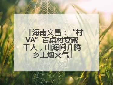 海南文昌：“村VA”百桌村宴聚千人，山海间升腾乡土烟火气