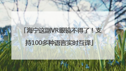 海宁这副VR眼镜不得了！支持100多种语言实时互译
