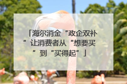 海尔消金“政企双补”让消费者从“想要买”到“买得起”