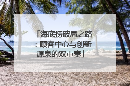 海底捞破局之路：顾客中心与创新源泉的双重奏