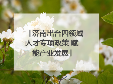 济南出台四领域人才专项政策 赋能产业发展