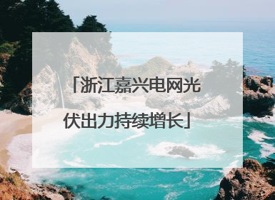 浙江嘉兴电网光伏出力持续增长