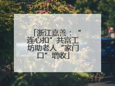 浙江嘉善：“连心扣”共富工坊助老人“家门口”增收