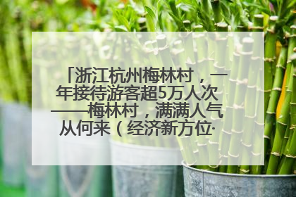 浙江杭州梅林村，一年接待游客超5万人次——梅林村，满满人气从何来（经济新方位·农村消费观察）