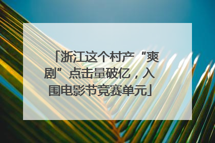 浙江这个村产“爽剧”点击量破亿，入围电影节竞赛单元