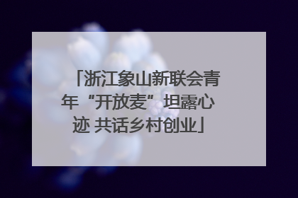浙江象山新联会青年“开放麦”坦露心迹 共话乡村创业
