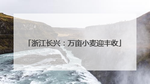 浙江长兴：万亩小麦迎丰收