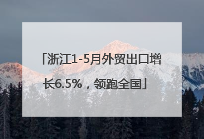 浙江1-5月外贸出口增长6.5%，领跑全国