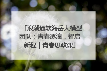 浪潮通软海岳大模型团队：青春逐浪，智启新程｜青春思政课