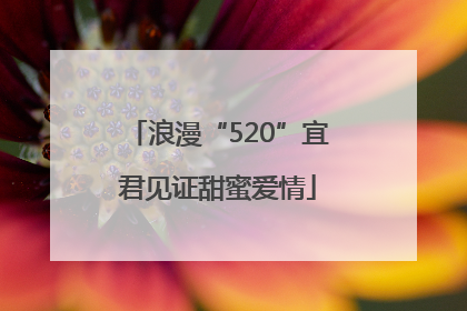 浪漫“520”宜君见证甜蜜爱情