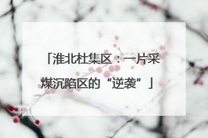 淮北杜集区：一片采煤沉陷区的“逆袭”