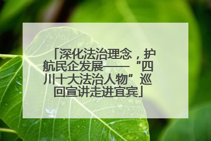 深化法治理念，护航民企发展——“四川十大法治人物”巡回宣讲走进宜宾