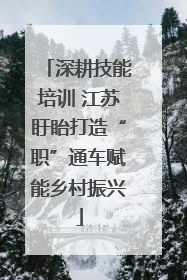 深耕技能培训 江苏盱眙打造“职”通车赋能乡村振兴