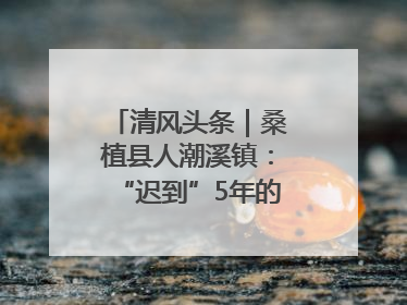 清风头条｜桑植县人潮溪镇：“迟到”5年的生态林补偿金