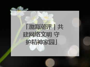 渤海潮评｜共建网络文明 守护精神家园