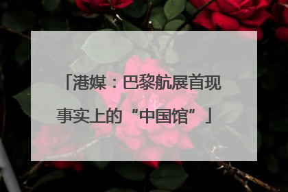 港媒：巴黎航展首现事实上的“中国馆”
