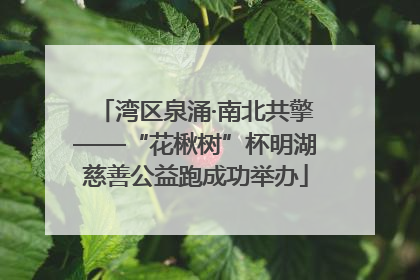 湾区泉涌·南北共擎——“花楸树”杯明湖慈善公益跑成功举办
