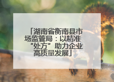 湖南省衡南县市场监管局：以精准“处方”助力企业高质量发展