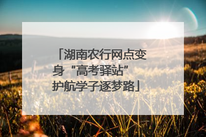 湖南农行网点变身“高考驿站” 护航学子逐梦路