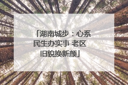 湖南城步：心系民生办实事 老区旧貌换新颜