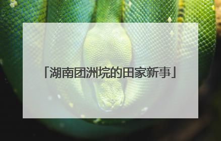 湖南团洲垸的田家新事
