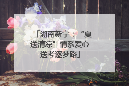 湖南新宁：“夏送清凉”情系爱心送考逐梦路