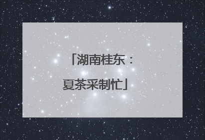 湖南桂东：夏茶采制忙