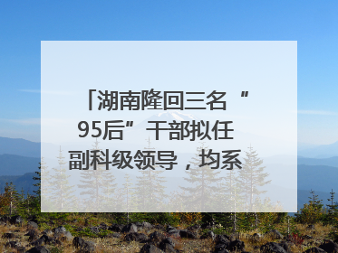 湖南隆回三名“95后”干部拟任副科级领导，均系硕士选调生