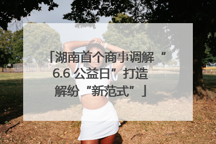 湖南首个商事调解“6.6 公益日”打造解纷“新范式”
