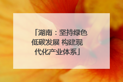 湖南：坚持绿色低碳发展 构建现代化产业体系