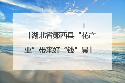湖北省郧西县“花产业”带来好“钱”景