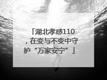 湖北孝感110，在变与不变中守护“万家安宁”