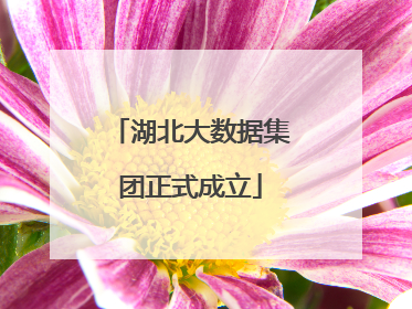 湖北大数据集团正式成立