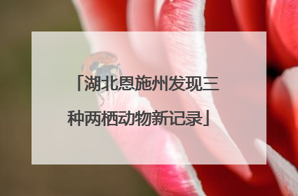 湖北恩施州发现三种两栖动物新记录