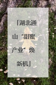湖北通山“甜蜜产业”焕新机