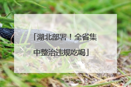 湖北部署！全省集中整治违规吃喝