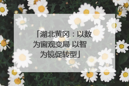 湖北黄冈：以数为窗观变局 以智为镜促转型