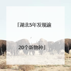 湖北5年发现逾20个新物种