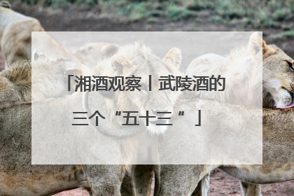 湘酒观察丨武陵酒的三个“五十三 ”
