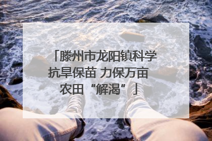 滕州市龙阳镇科学抗旱保苗 力保万亩农田“解渴”