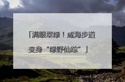 满眼翠绿！威海步道变身“绿野仙踪”