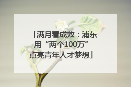 满月看成效：浦东用“两个100万”点亮青年人才梦想