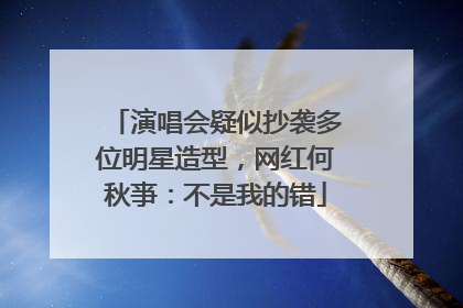 演唱会疑似抄袭多位明星造型，网红何秋亊：不是我的错