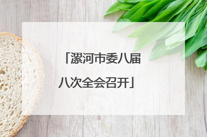 漯河市委八届八次全会召开