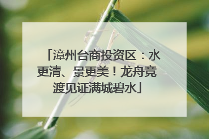 漳州台商投资区：水更清、景更美！龙舟竞渡见证满城碧水