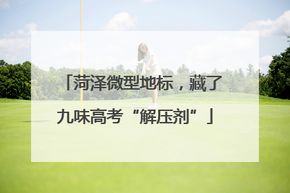 菏泽微型地标，藏了九味高考“解压剂”