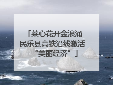菜心花开金浪涌 民乐县高铁沿线激活“美丽经济”