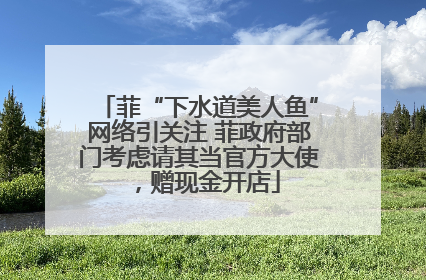 菲“下水道美人鱼”网络引关注 菲政府部门考虑请其当官方大使，赠现金开店